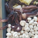 Pečena hobotnica