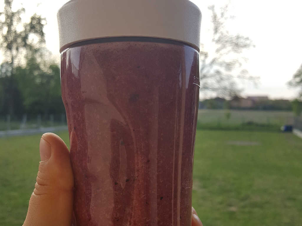 Smoothie od šumskog voća i chia sjemenki